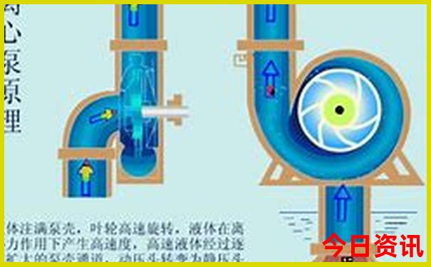 收藏必备新澳门解读精准全新正版最新免费-2025新澳门精准正版图库